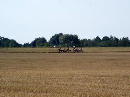 376949_10151090365453585_1304157122_n